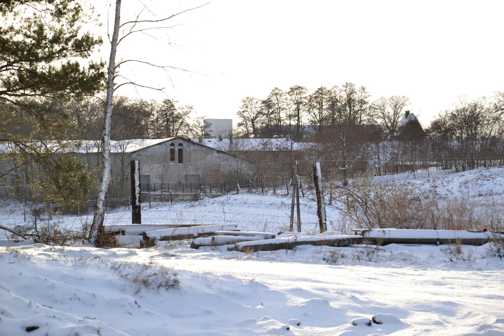 white and brown house near trees during daytime