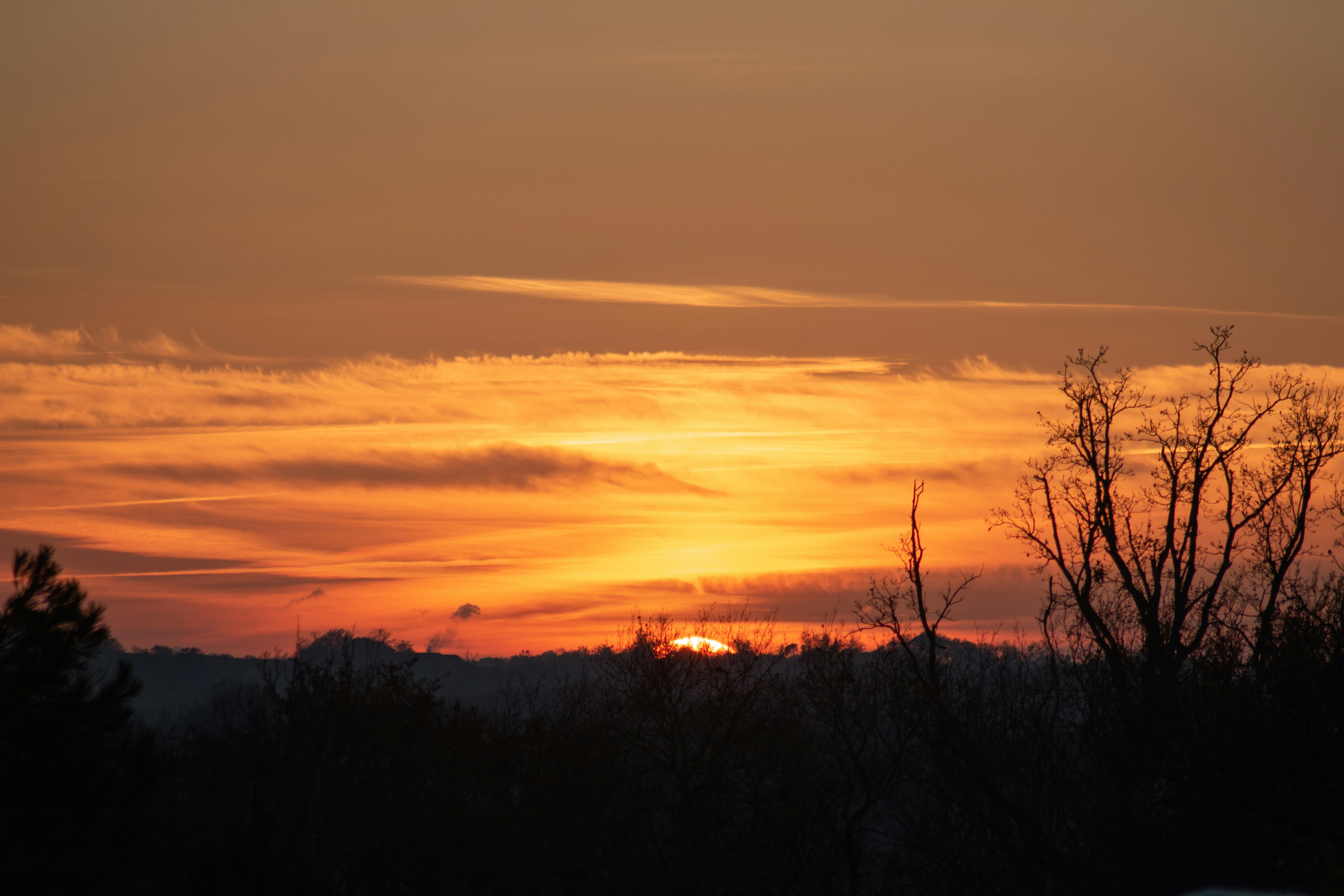 Photo by tom_bressolles