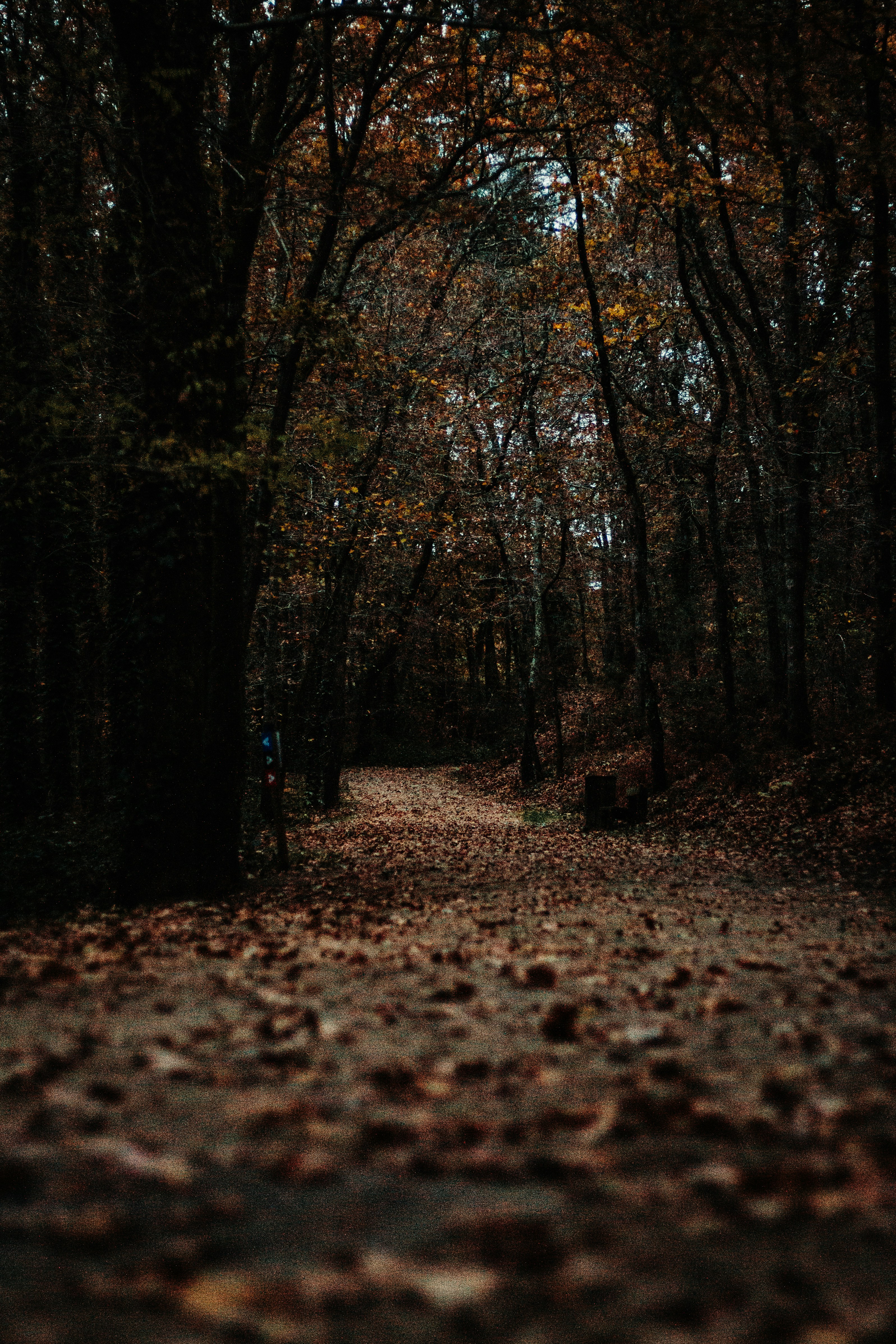 Photo by tom_bressolles