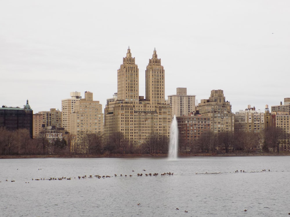 city skyline across body of water during daytime