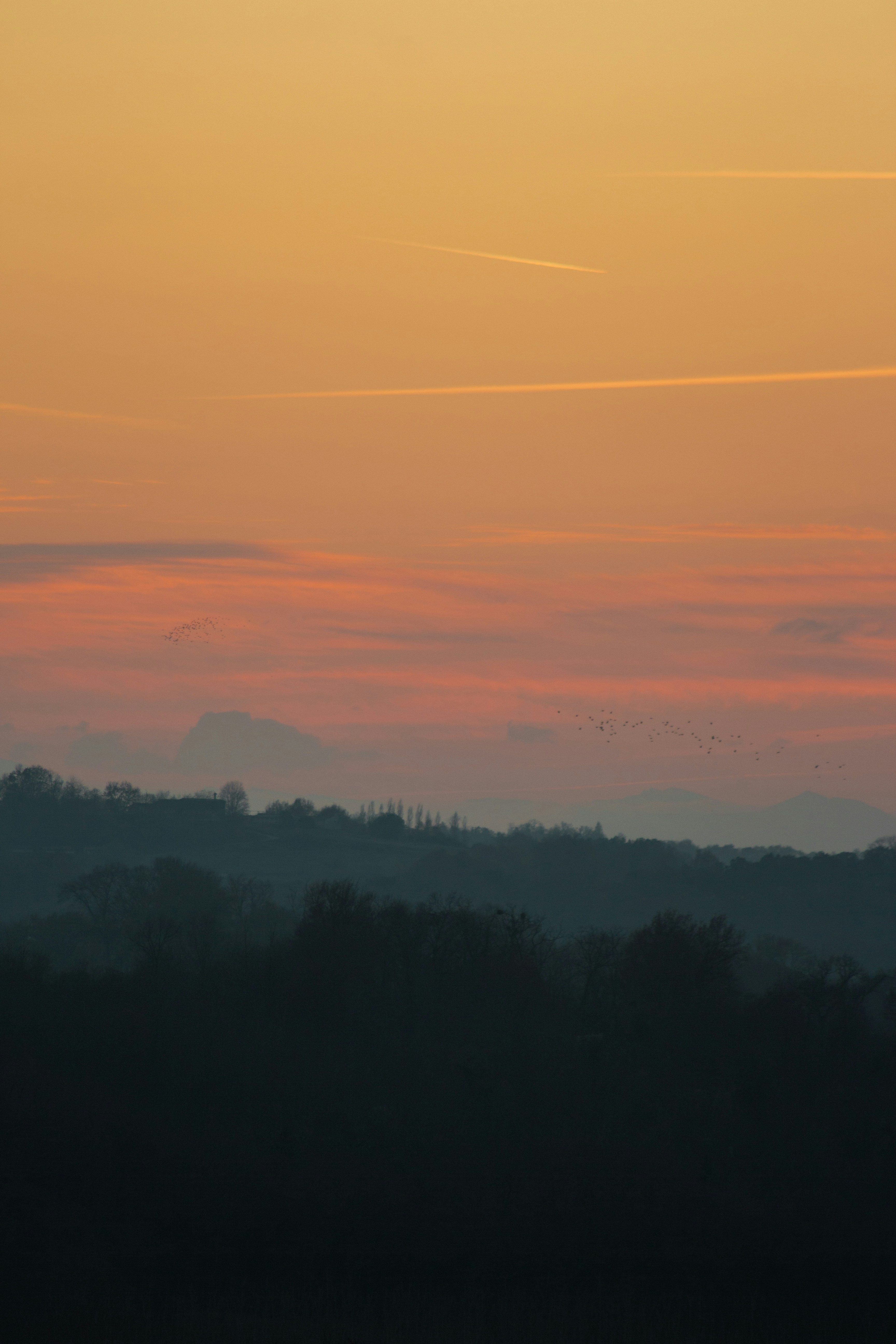 Photo by tom_bressolles