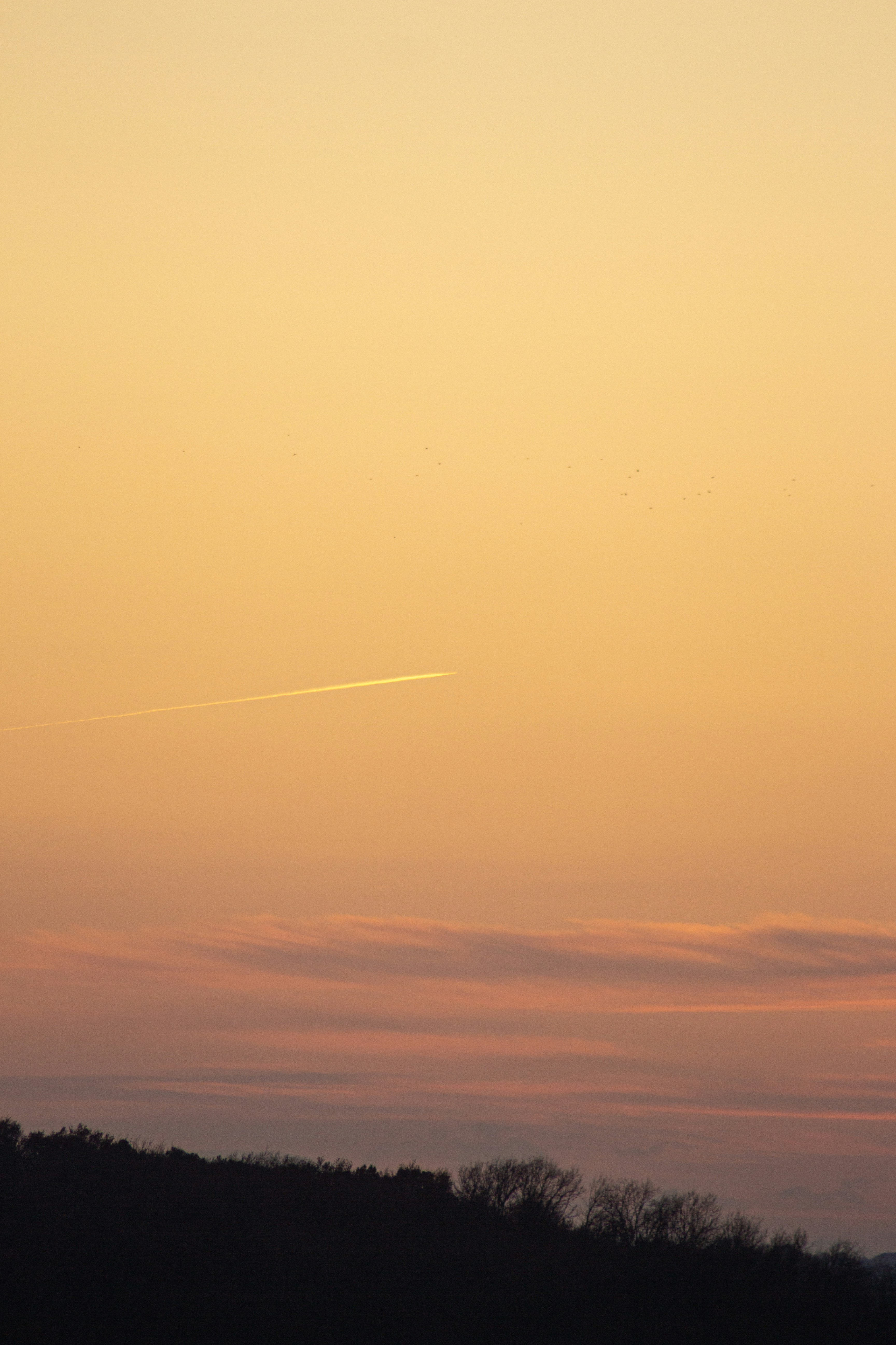 Photo by tom_bressolles