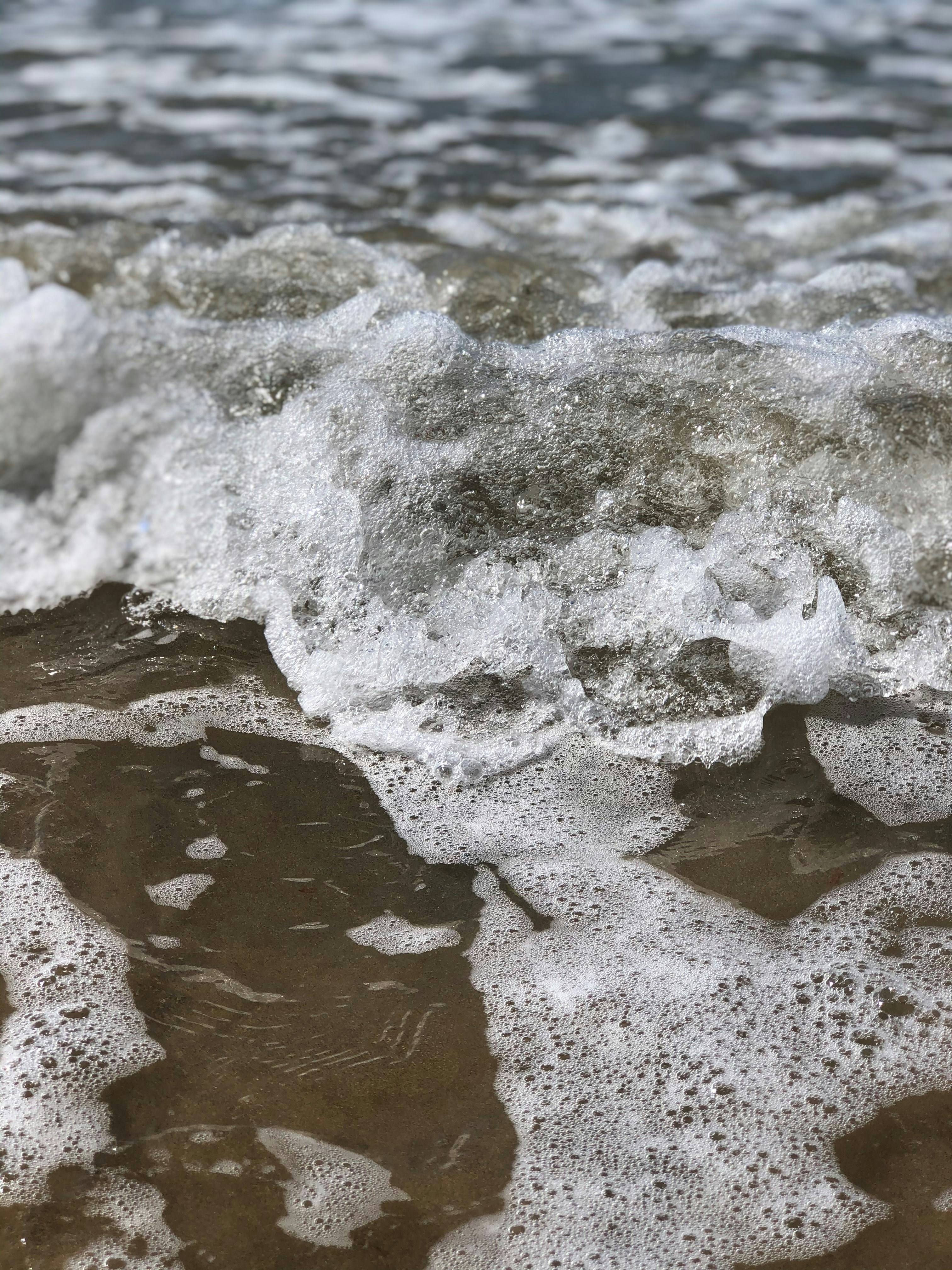 Photo by choona_fish