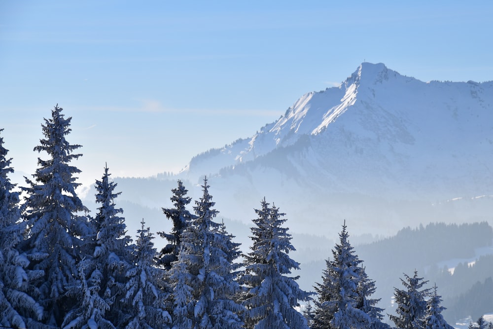 snow covered mountain during daytime