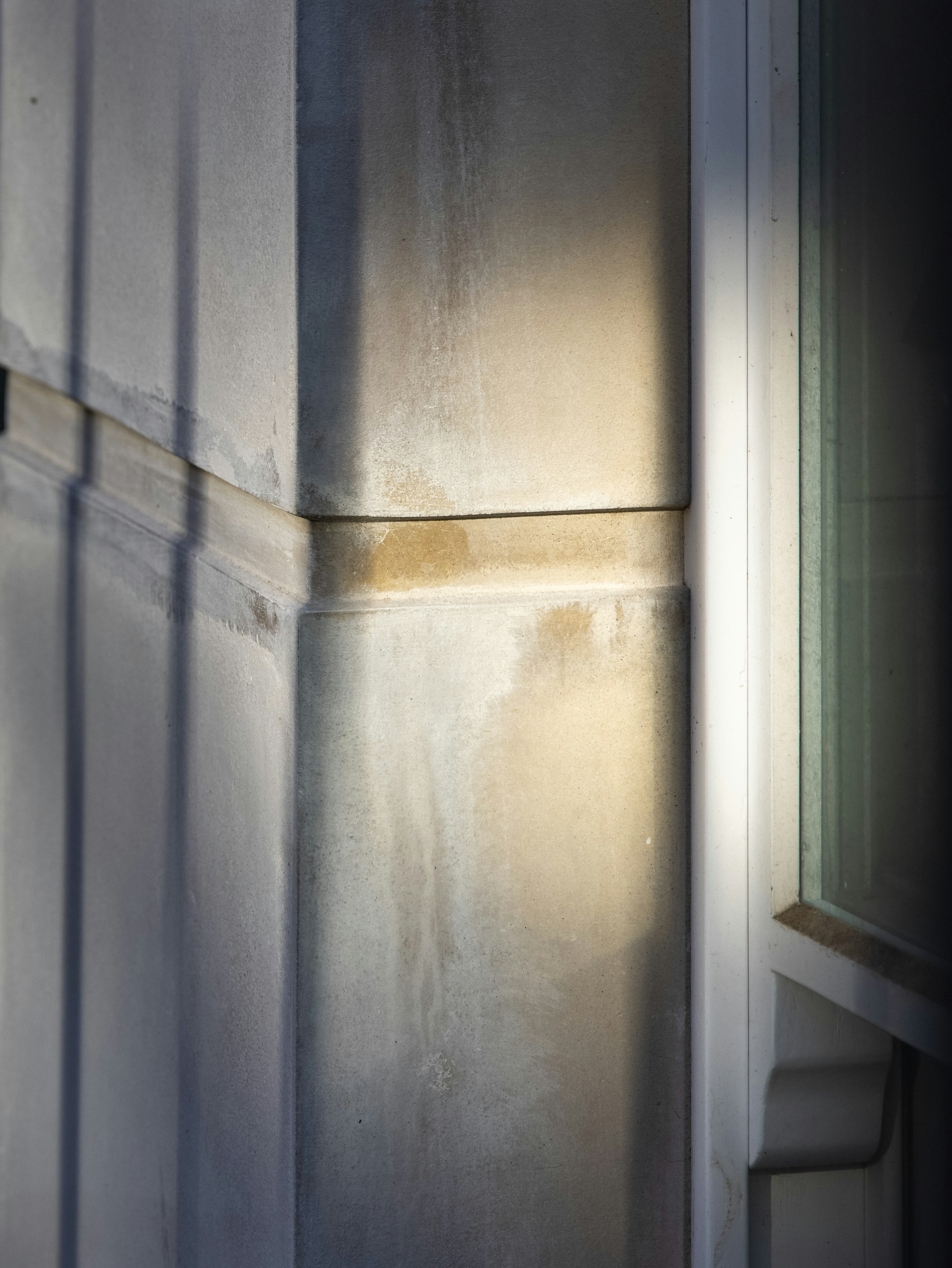 minimalist concrete wallpaper, wallpaper, Pet-Friendly Home Gym: Fitness & Furry Friends 4