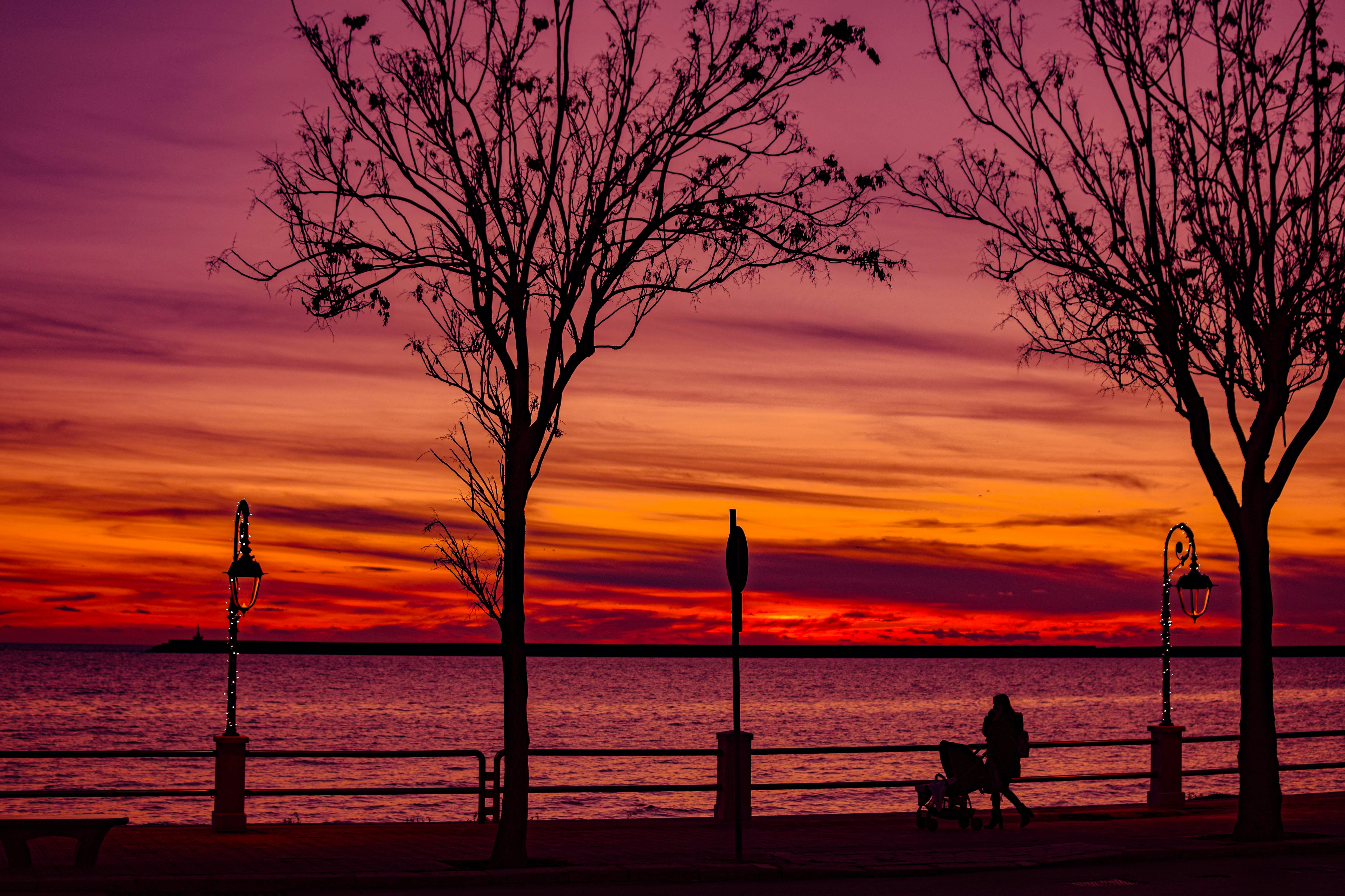 silhouette of person sitting on bench near body of water during sunset