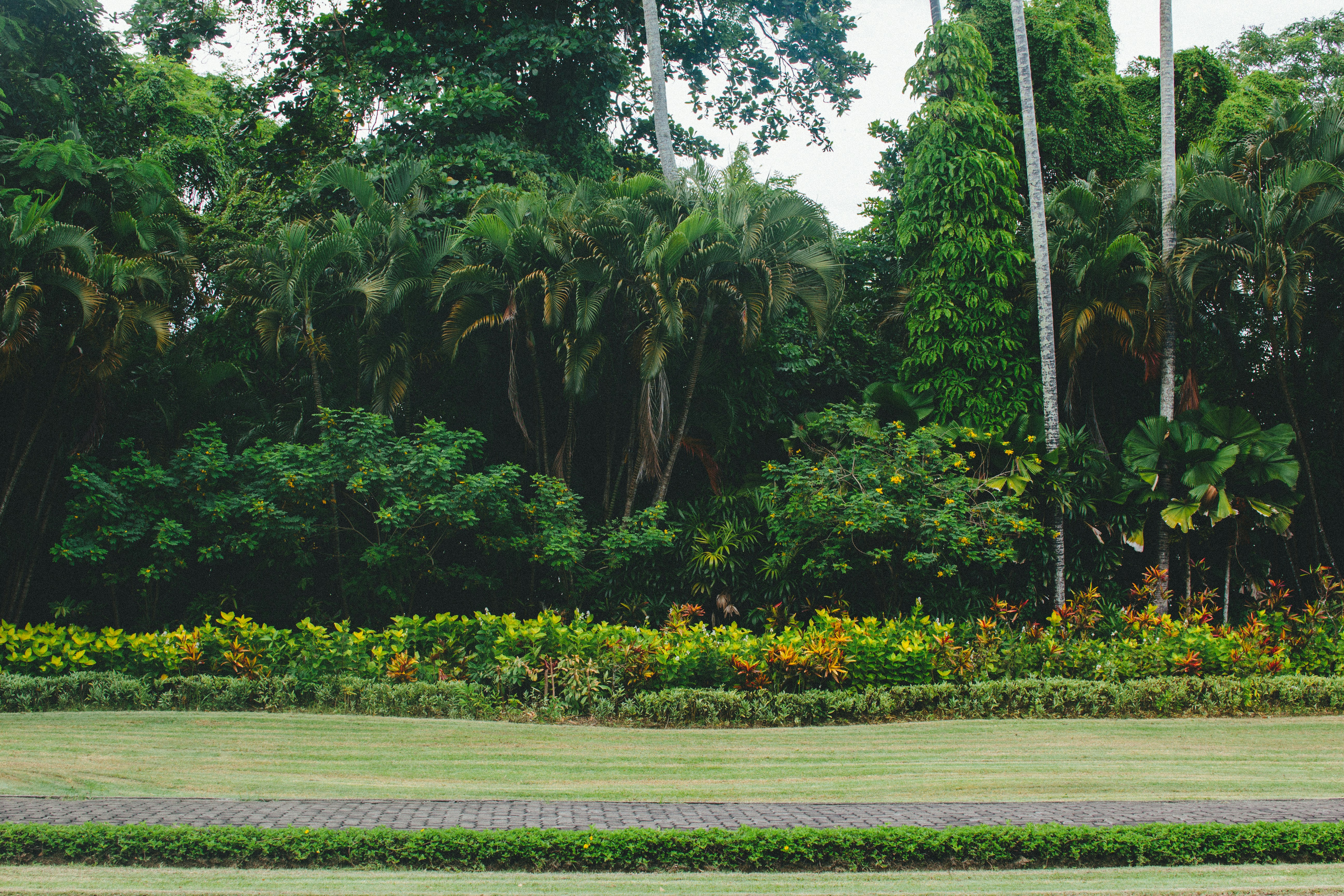 Photo by darya_jumelya