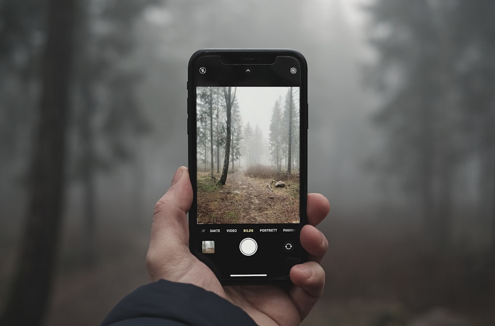 Persona sosteniendo iPhone 5 negro tomando foto de árboles marrones