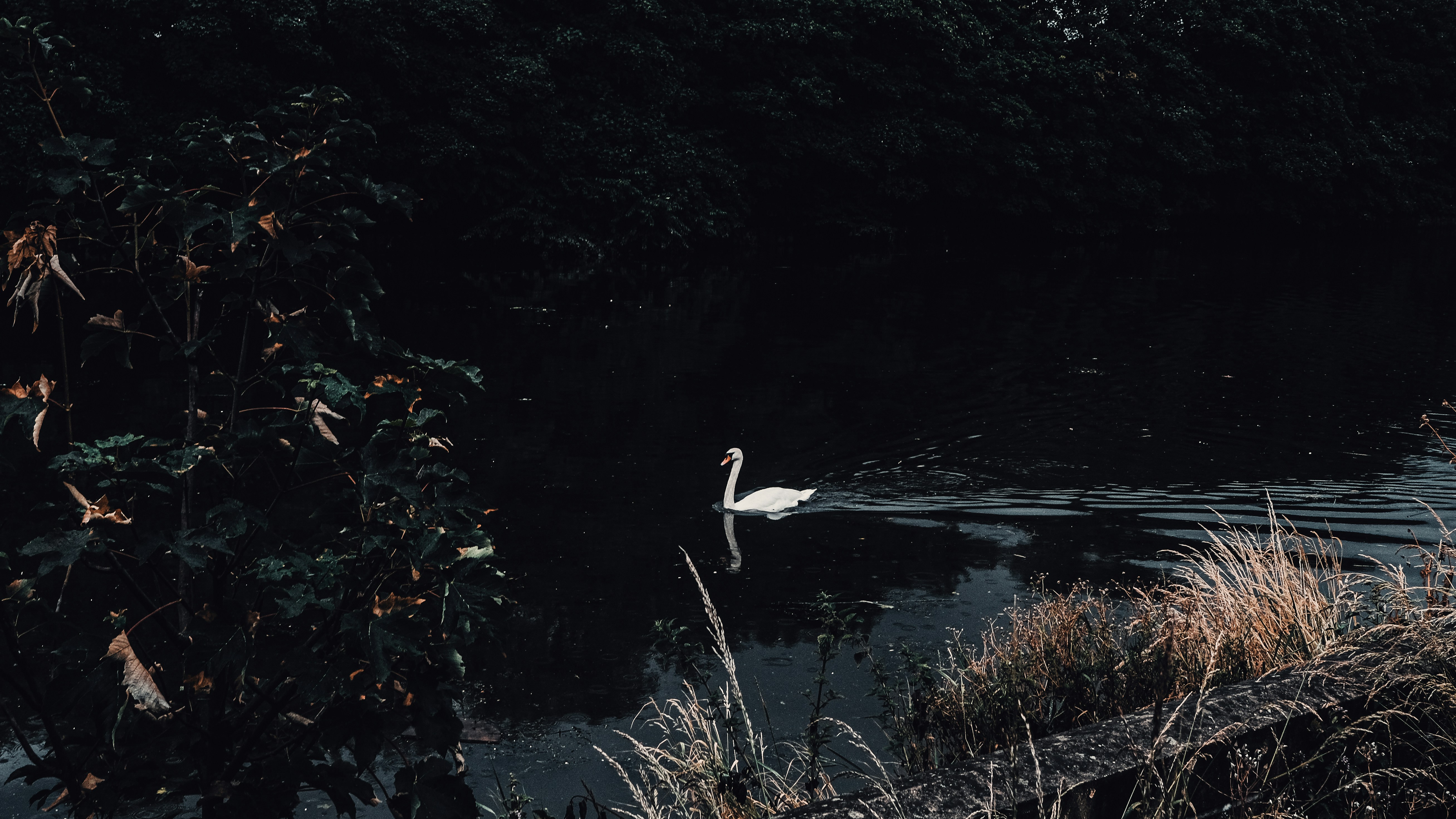 Photo by reganography