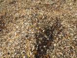 Close-up of sediment sampling tools being used on a sandy beach.