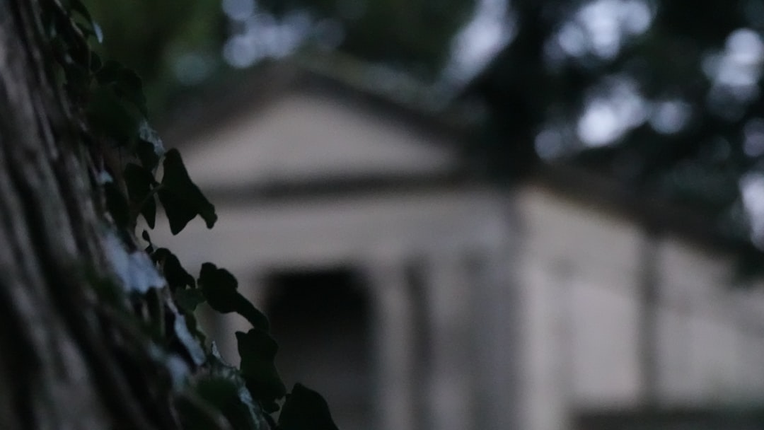 green plant in front of white house, A great background with victorian architecture in it!