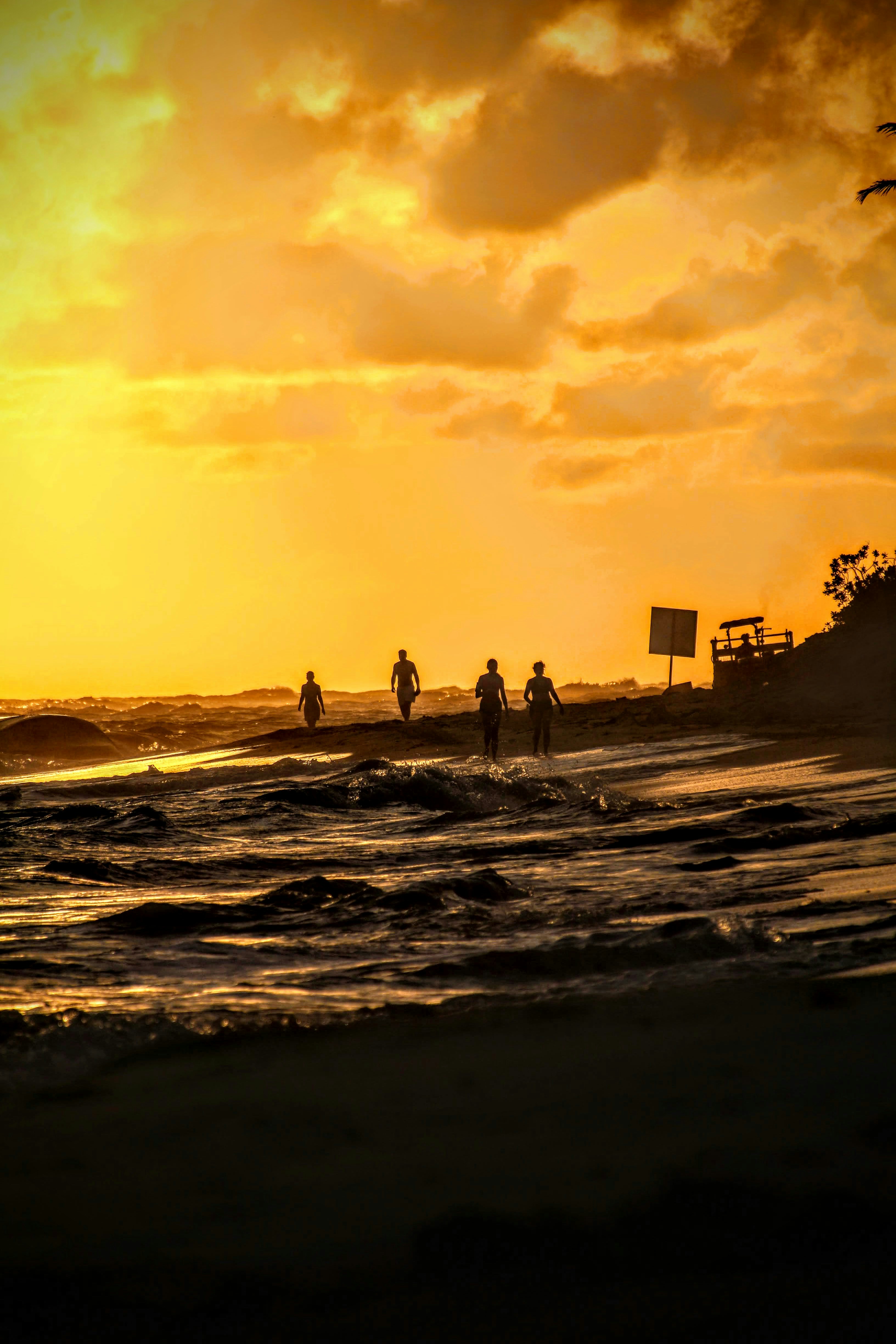 silhouette of people standing on beach during sunset