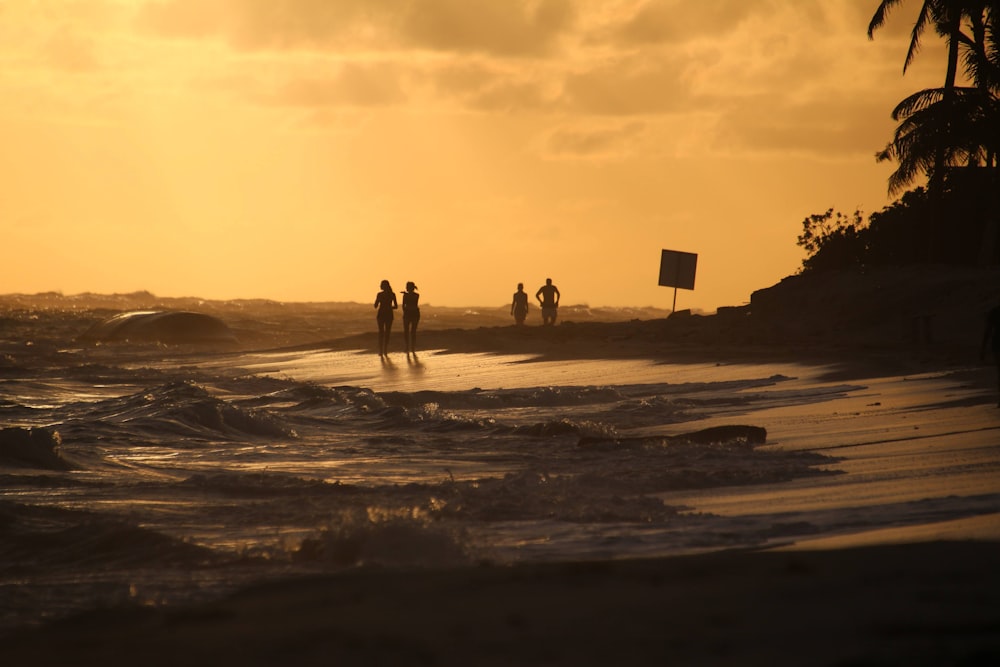 Silueta de personas que caminan en la playa durante la puesta del sol