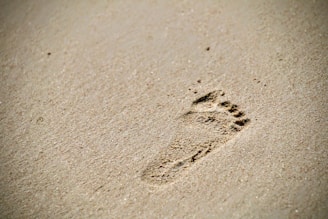 Carbon foot prints on white sand