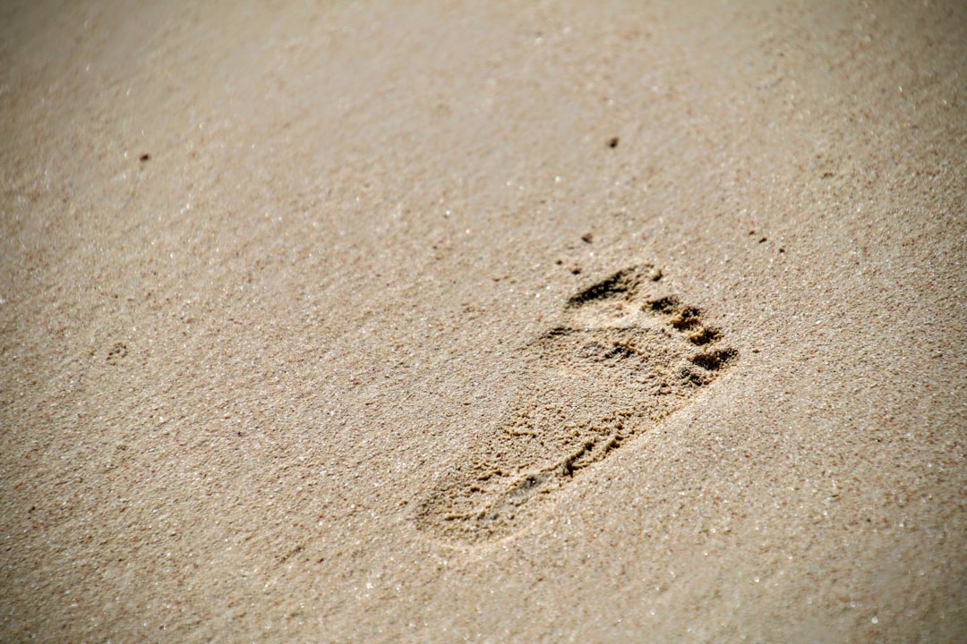 Why you should remain a beginner