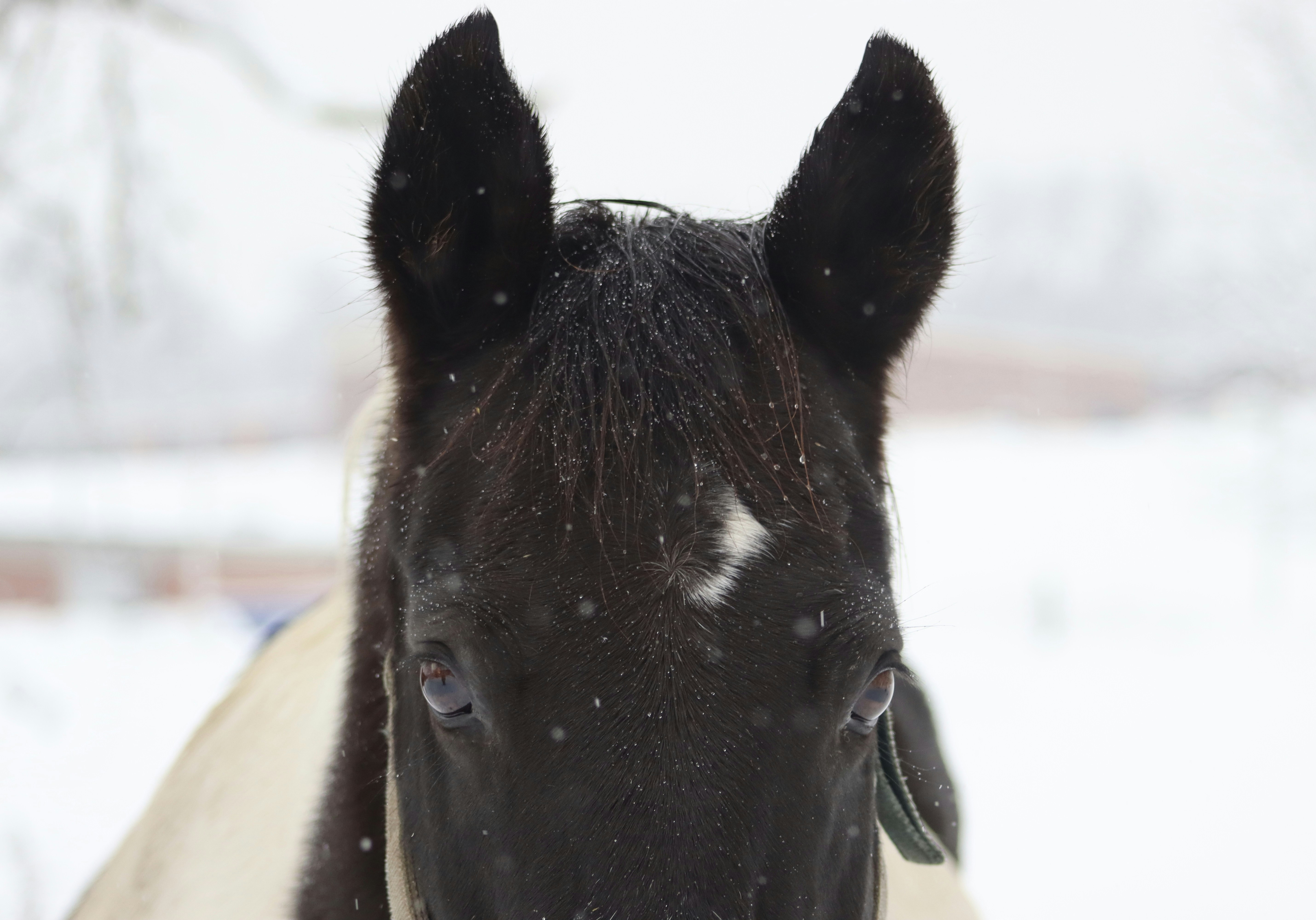 Photo by itsfiveoclock