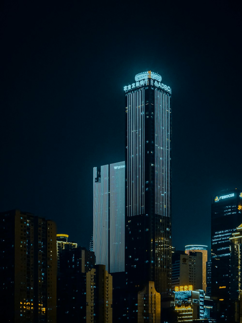 white and blue high rise building during night time