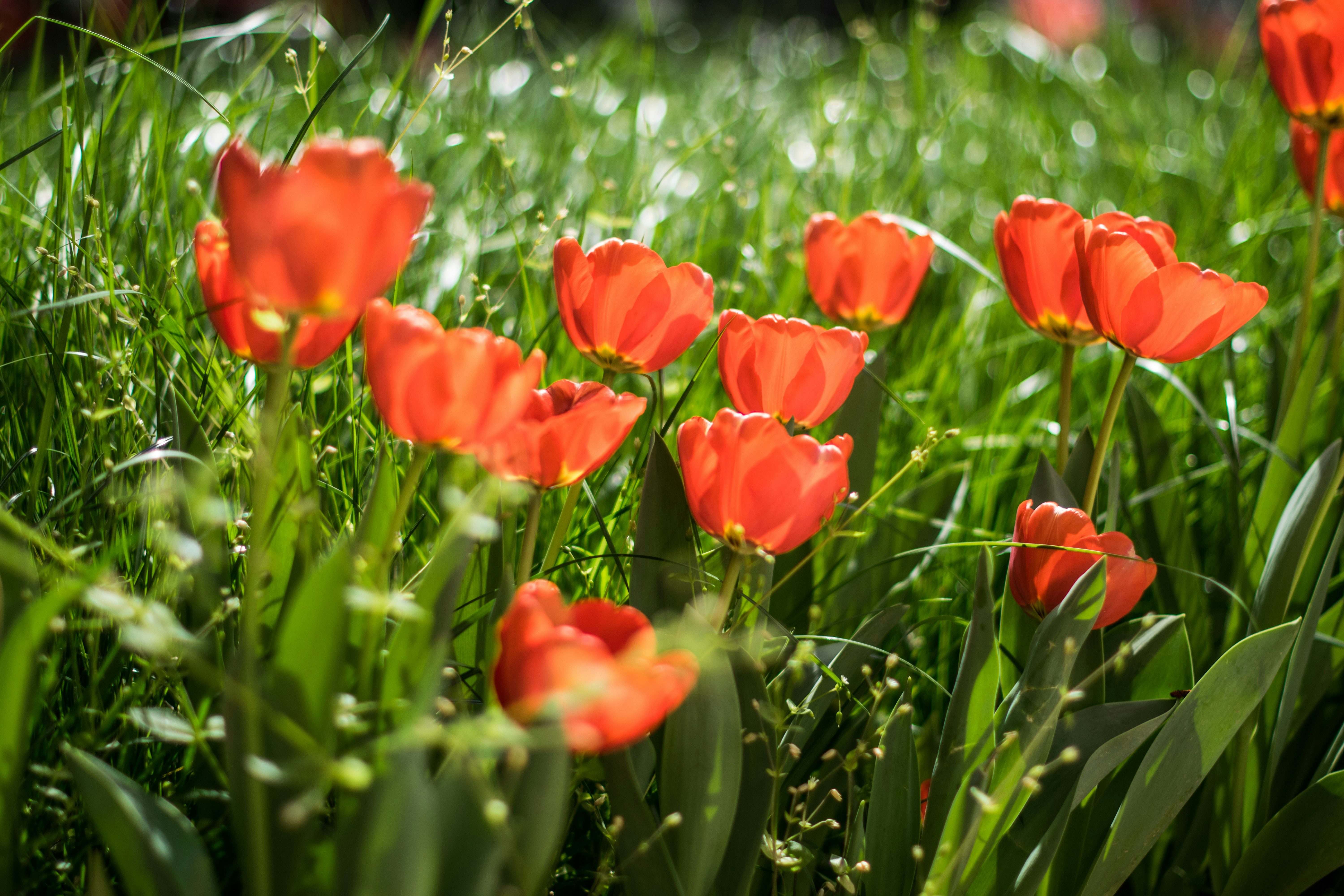 Photo by umid_akbarov