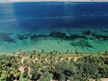 A scenic view of a tropical beach with clear waters.