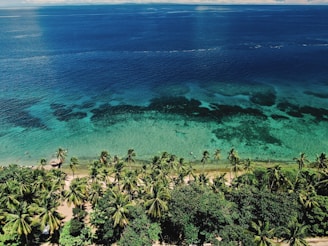 A scenic view of the beach in Miches, Dominican Republic, with clear blue waters and palm trees.
