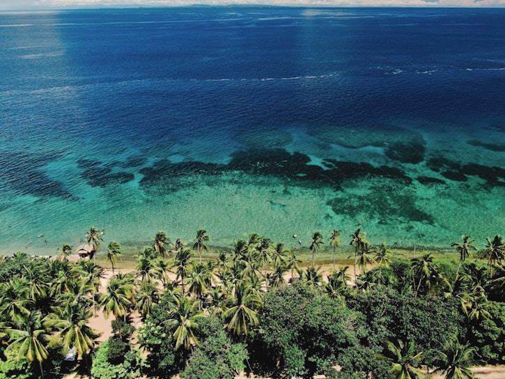 A scenic view of a tropical beach with clear blue waters.