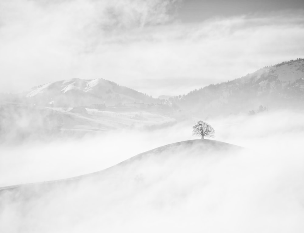 grayscale photo of mountain covered by clouds