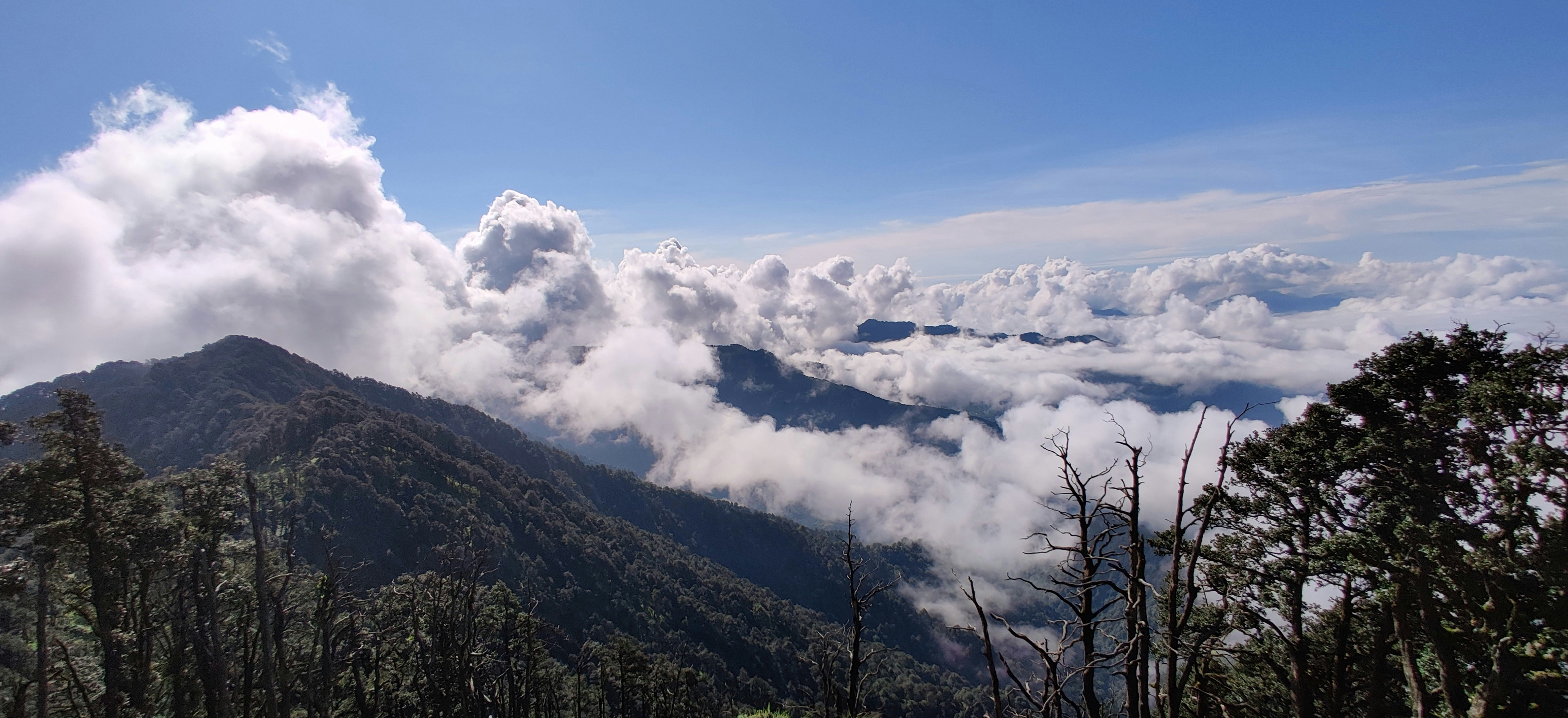 Photo by iamcrashish