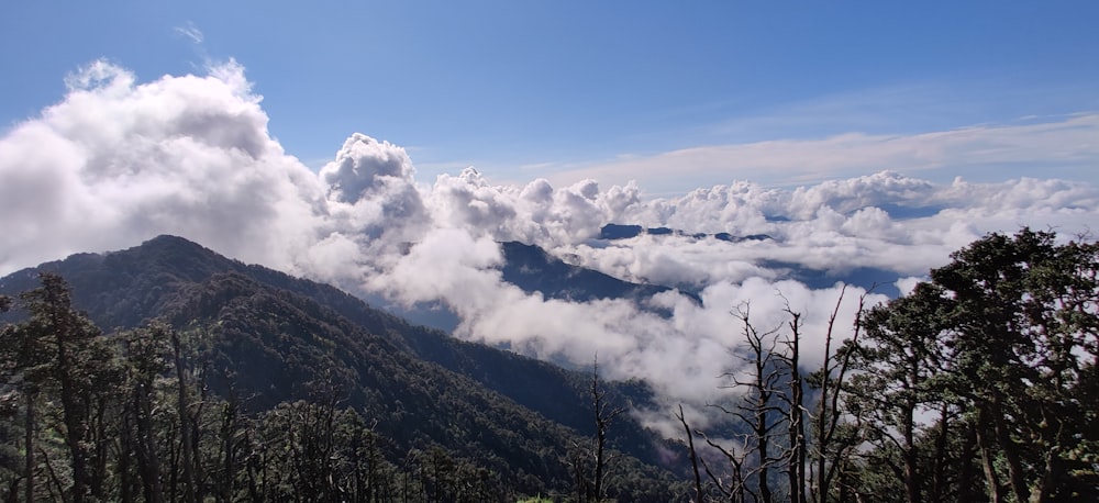 green trees on mountain under white clouds and blue sky during daytime