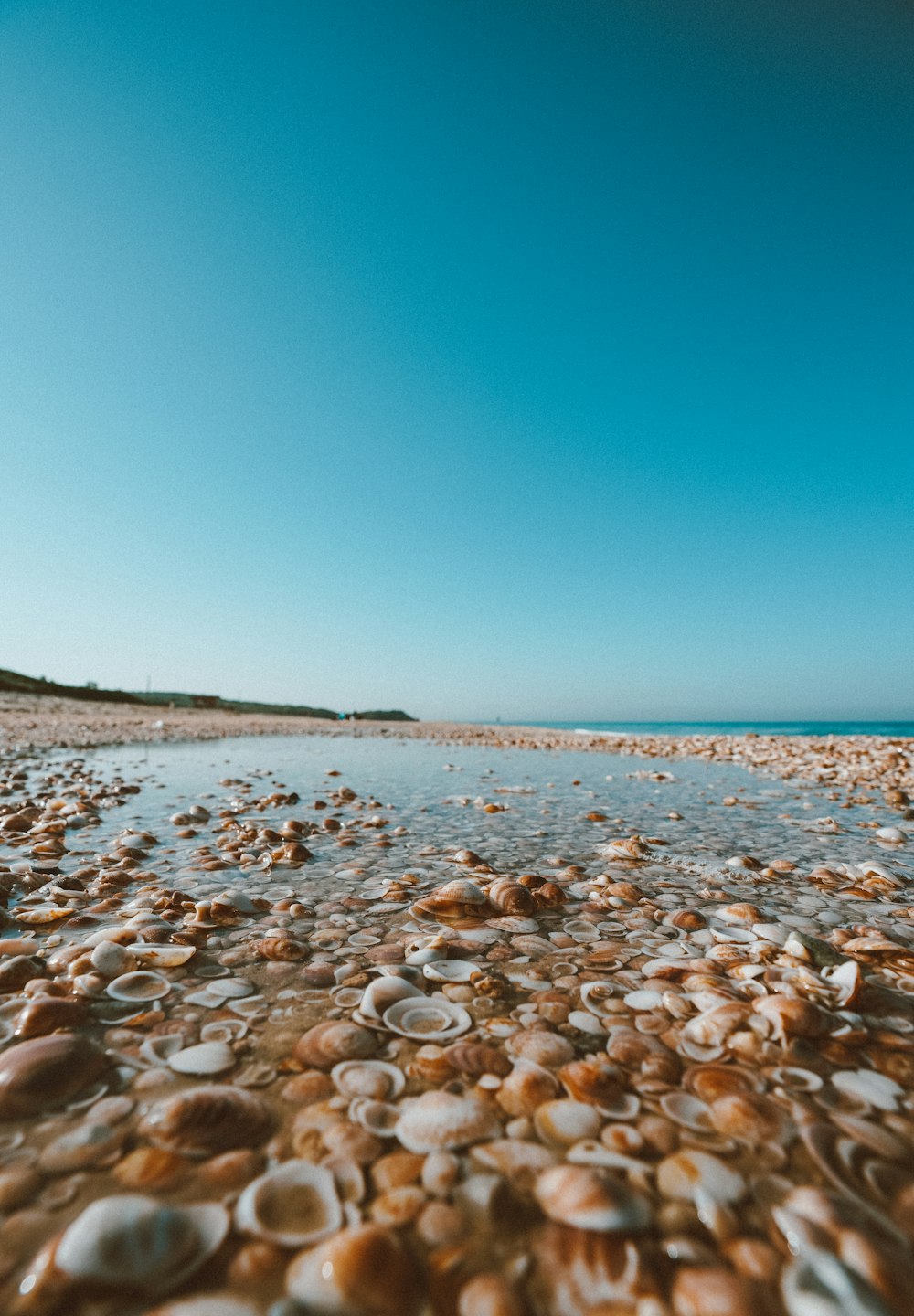 Piedras blancas y marrones en la orilla del mar durante el día
