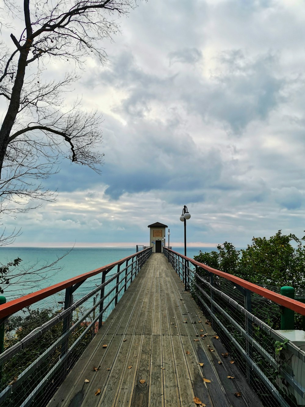 brown wooden dock near body of water during daytime