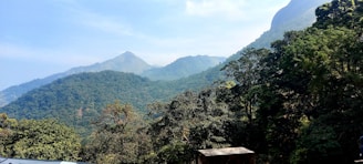 A scenic view of Uganda's lush landscapes with a clear blue sky and vibrant greenery.