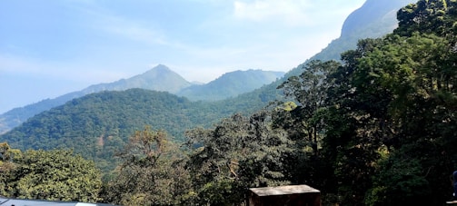 A scenic view of Uttarakhand's lush landscape.