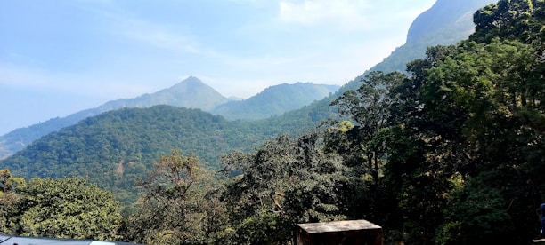 A scenic view of Uganda's lush landscapes with a clear blue sky and vibrant greenery.