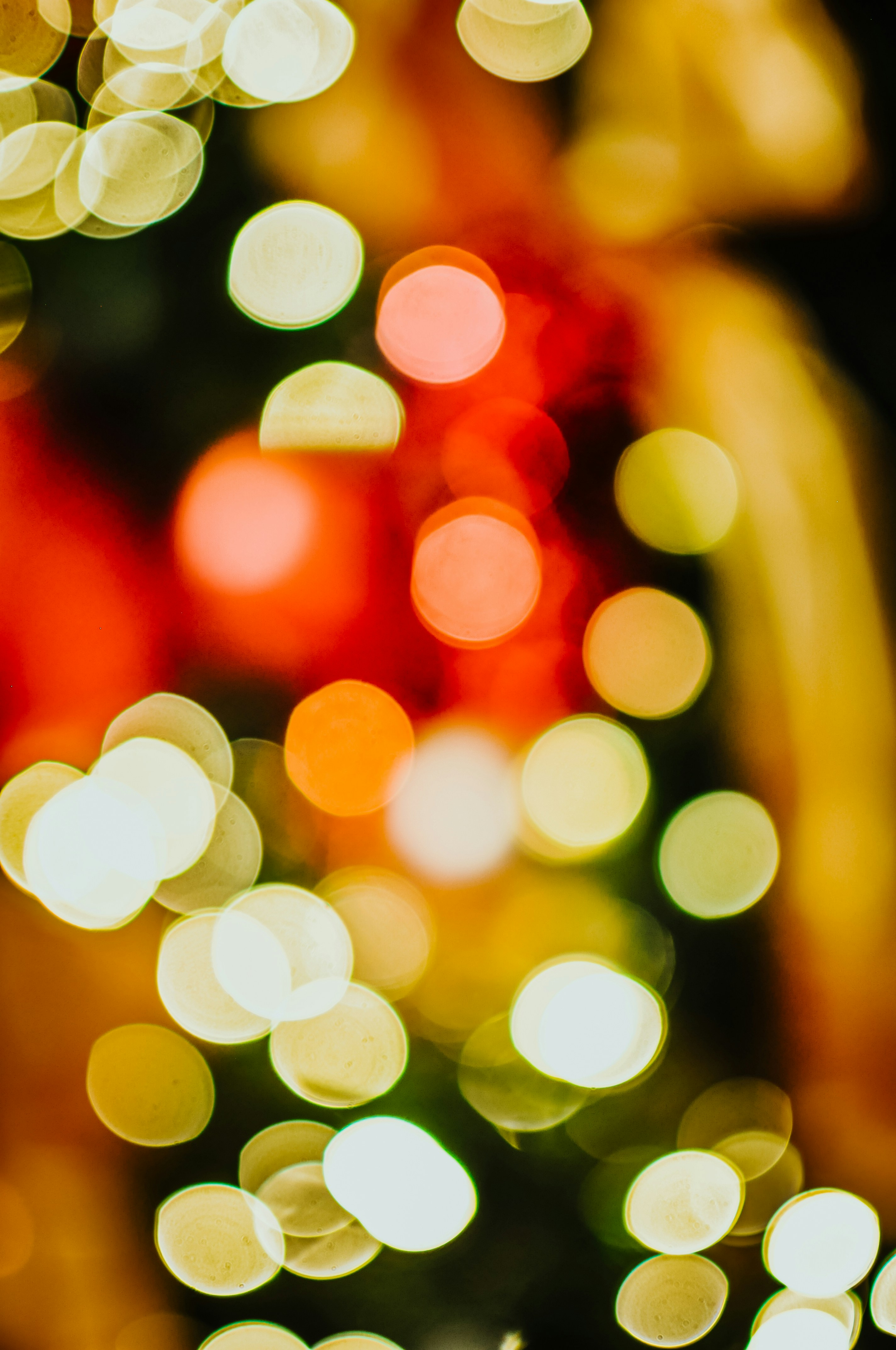 Les Anciens Pompons Rouges Se Retrouvent à Pouldreuzic | Le Télégramme