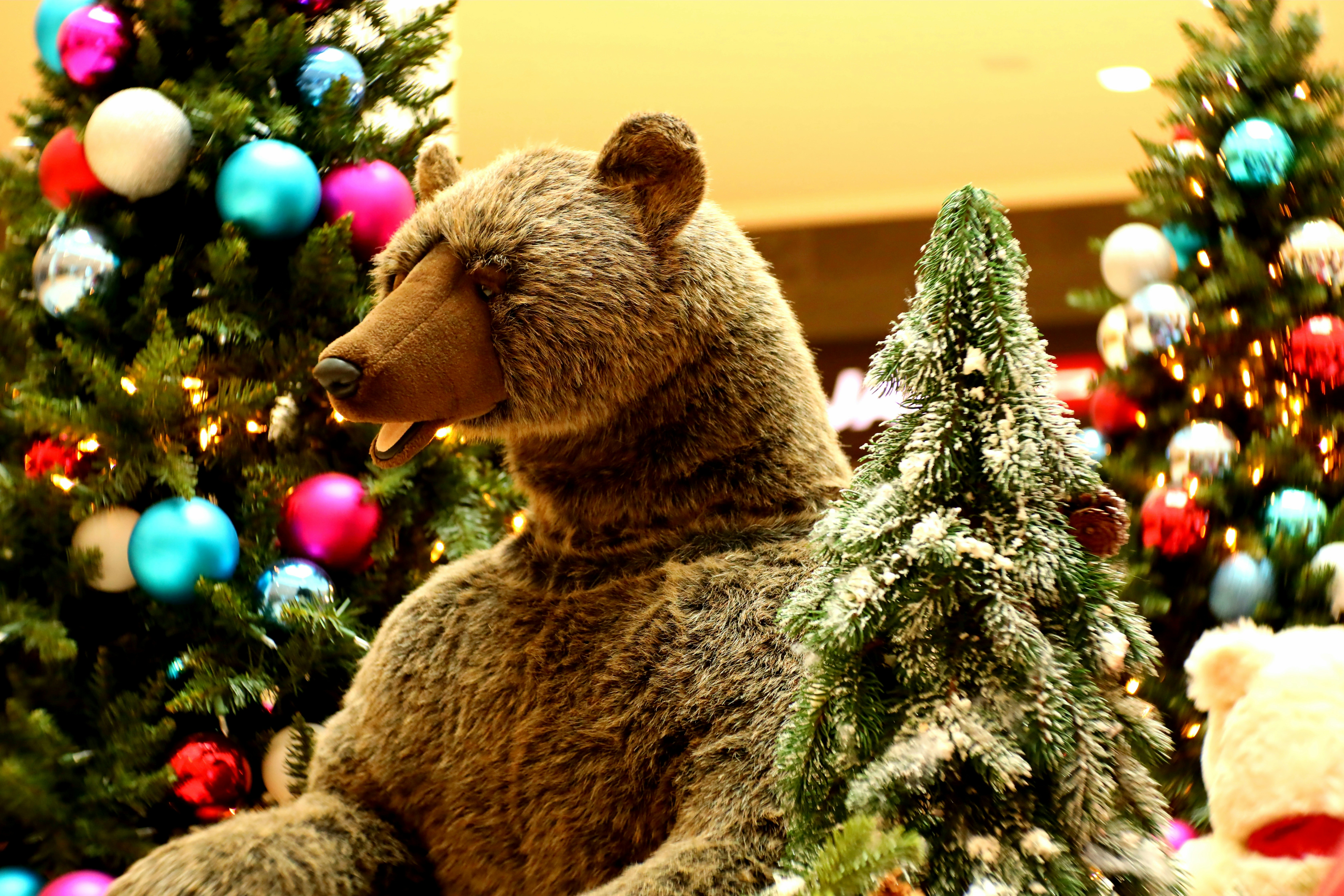 Photo by richardworks