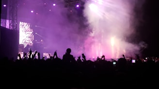 A crowd of people is gathered at a concert, with visible silhouettes of hands raised in excitement. Thick smoke and bright stage lights create a colorful ambiance, with purple and pink tones dominating the scene. A large screen displays abstract visuals, enhancing the overall dynamic atmosphere.