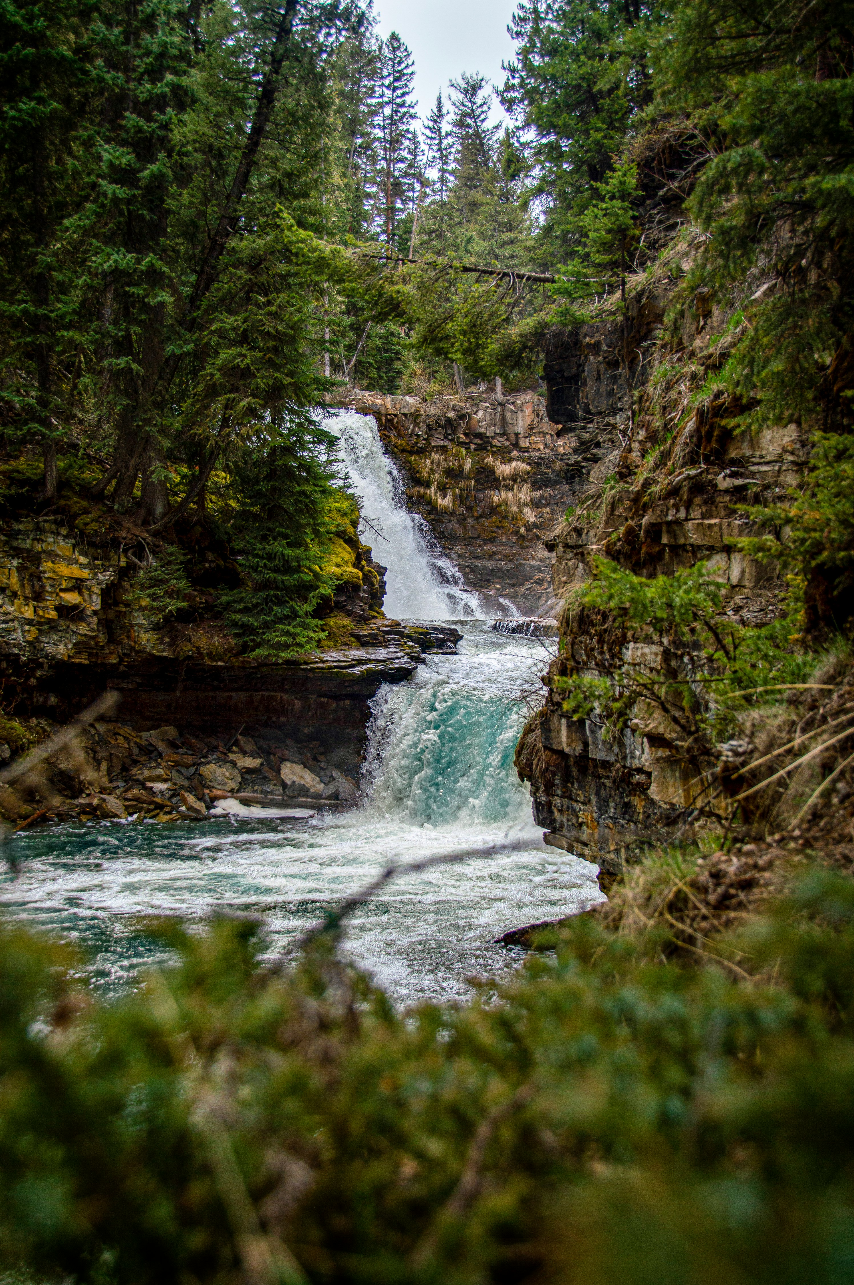 water falls in the middle of the forest