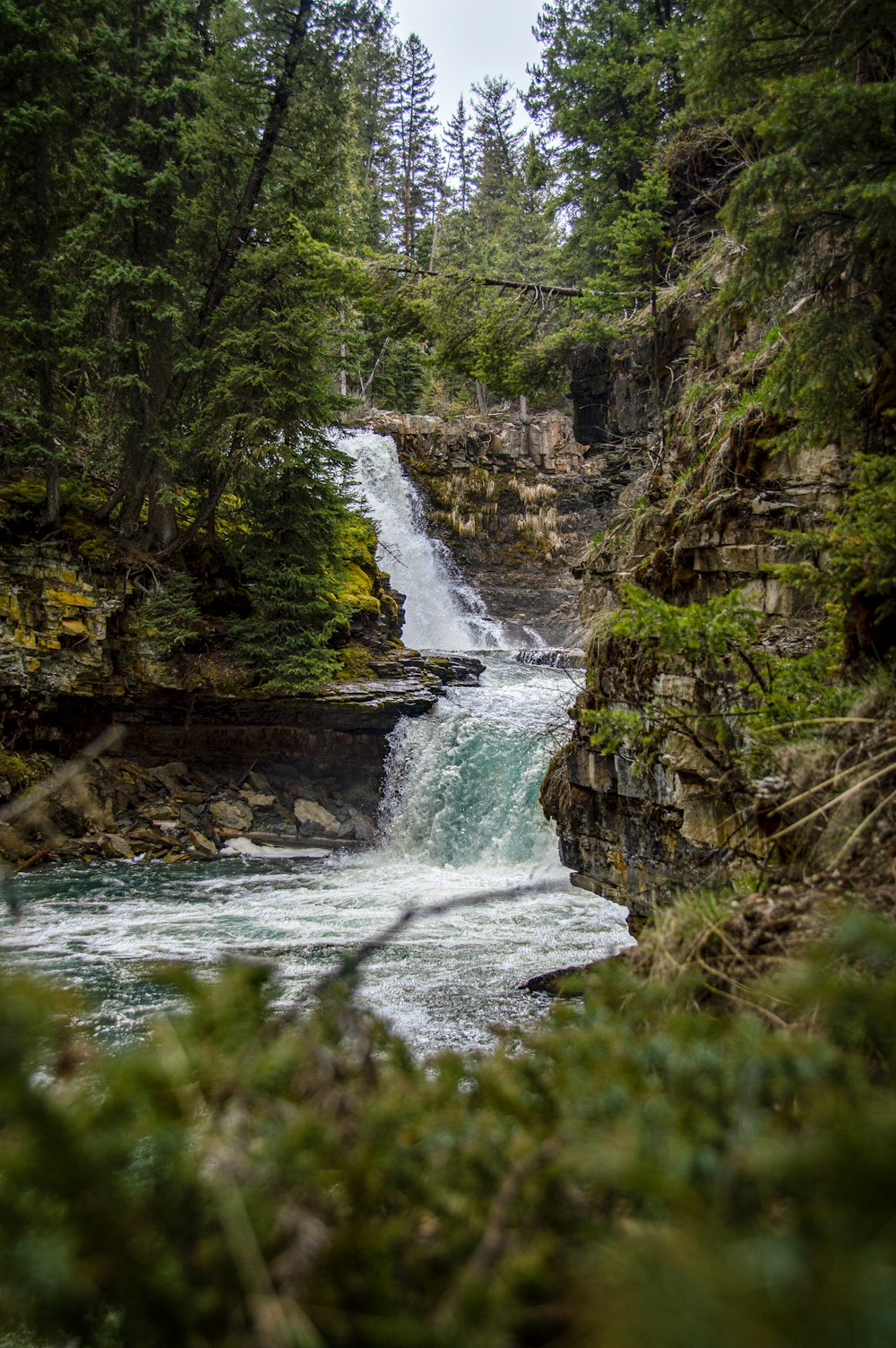 water falls in the middle of the forest