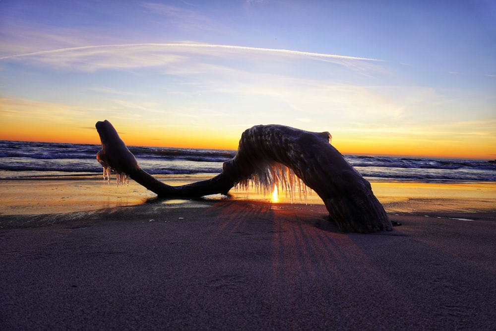 brown rock formation on beach during sunset