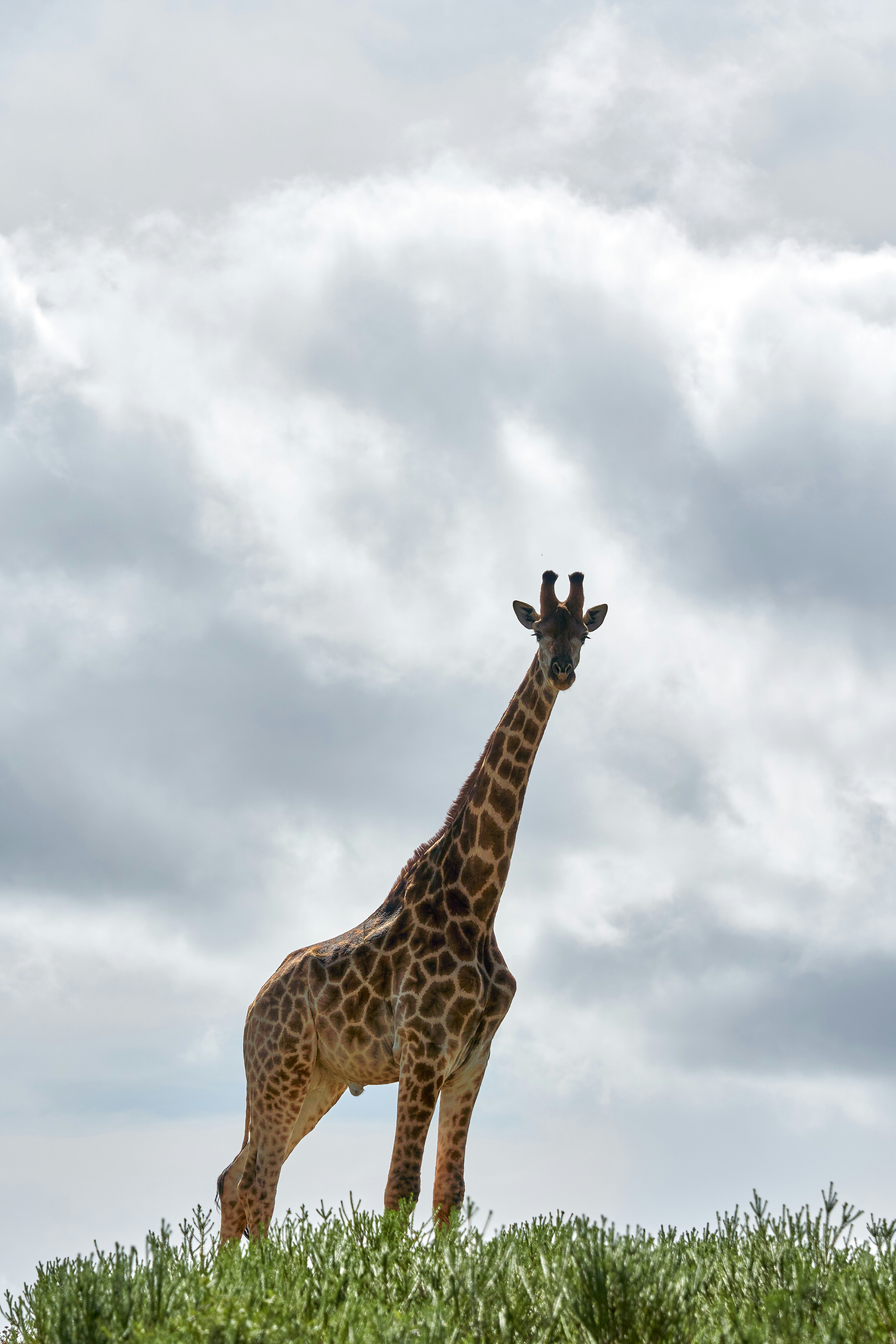 Photo by wolfgang_hasselmann