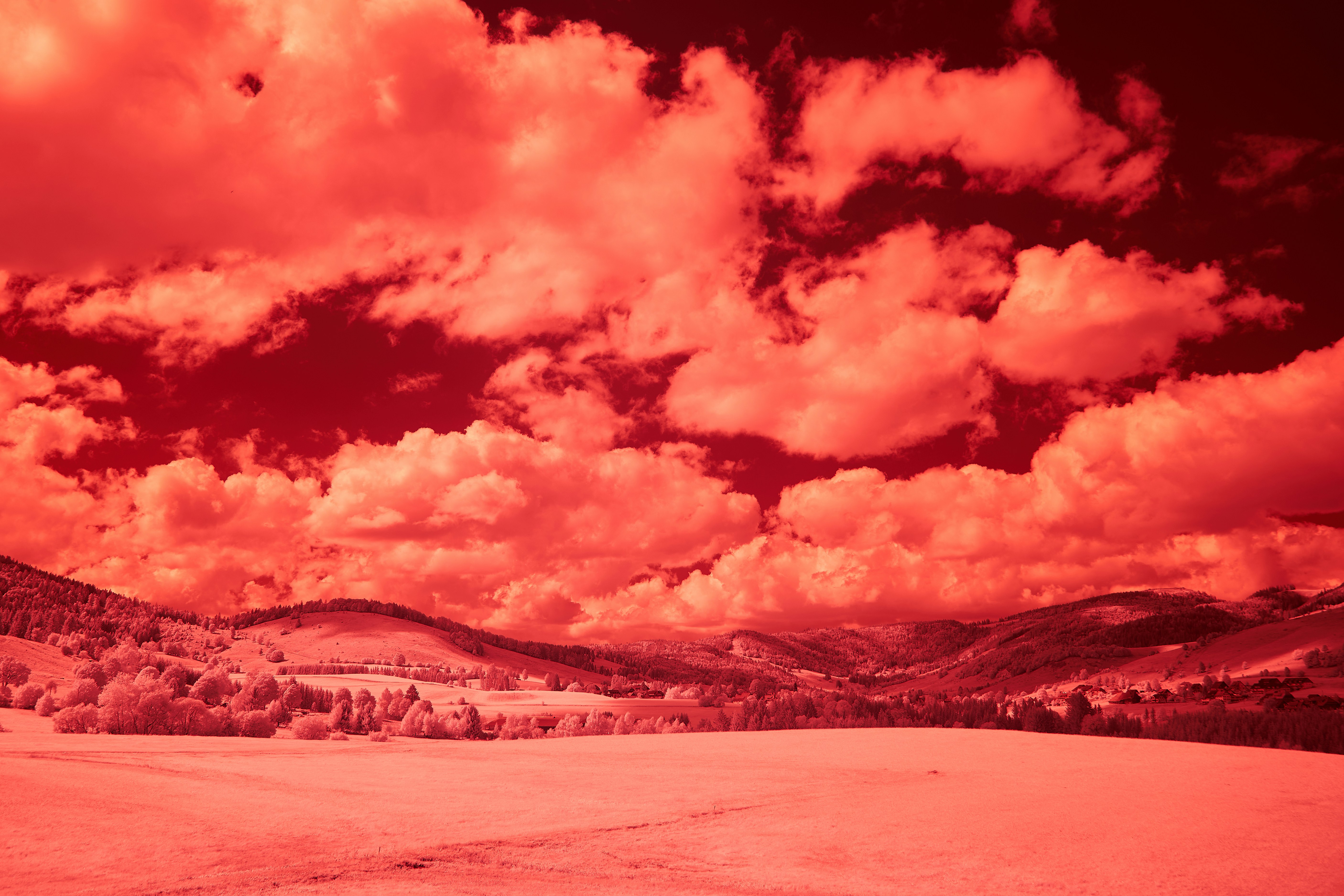 Photo by wolfgang_hasselmann