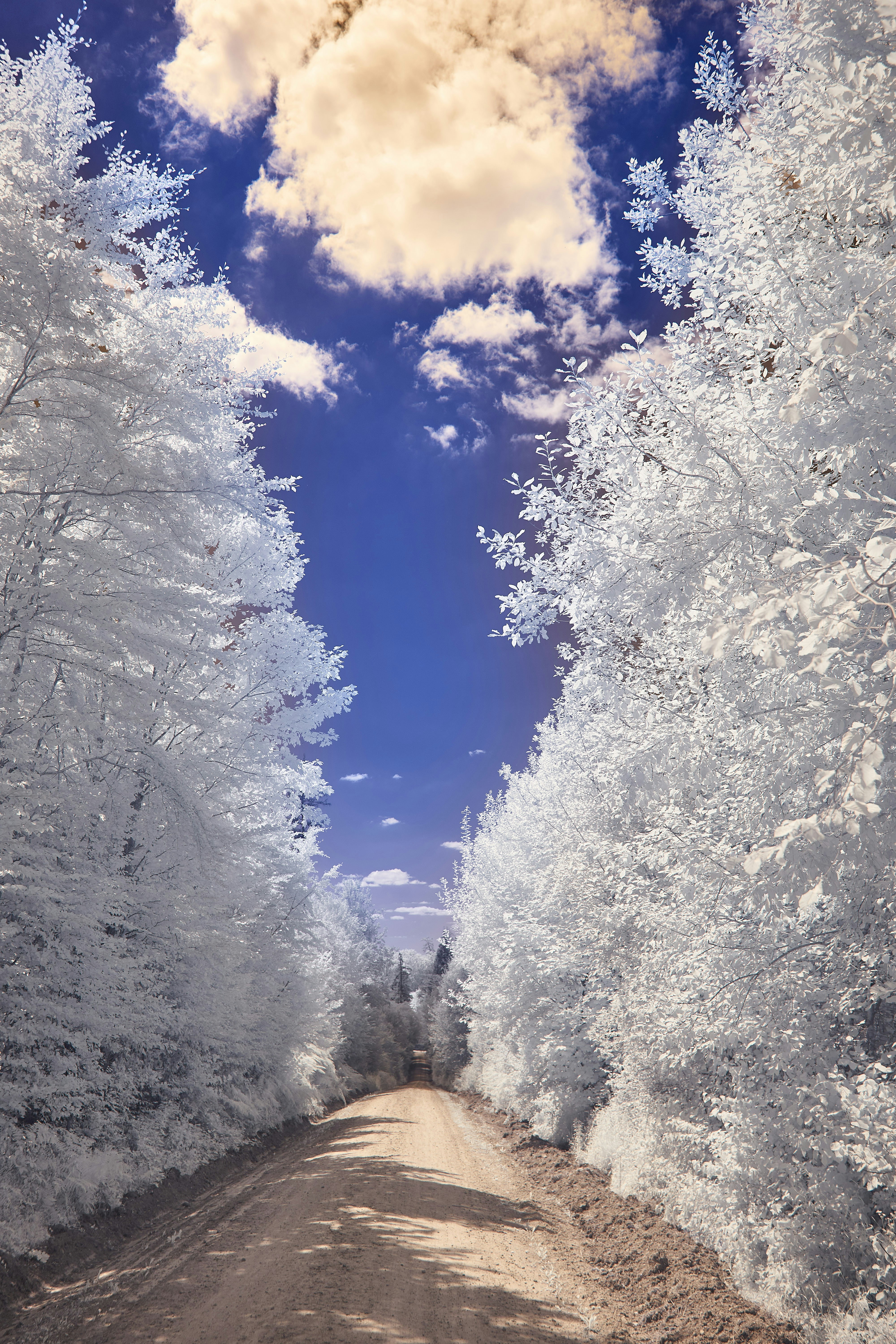 Photo by wolfgang_hasselmann