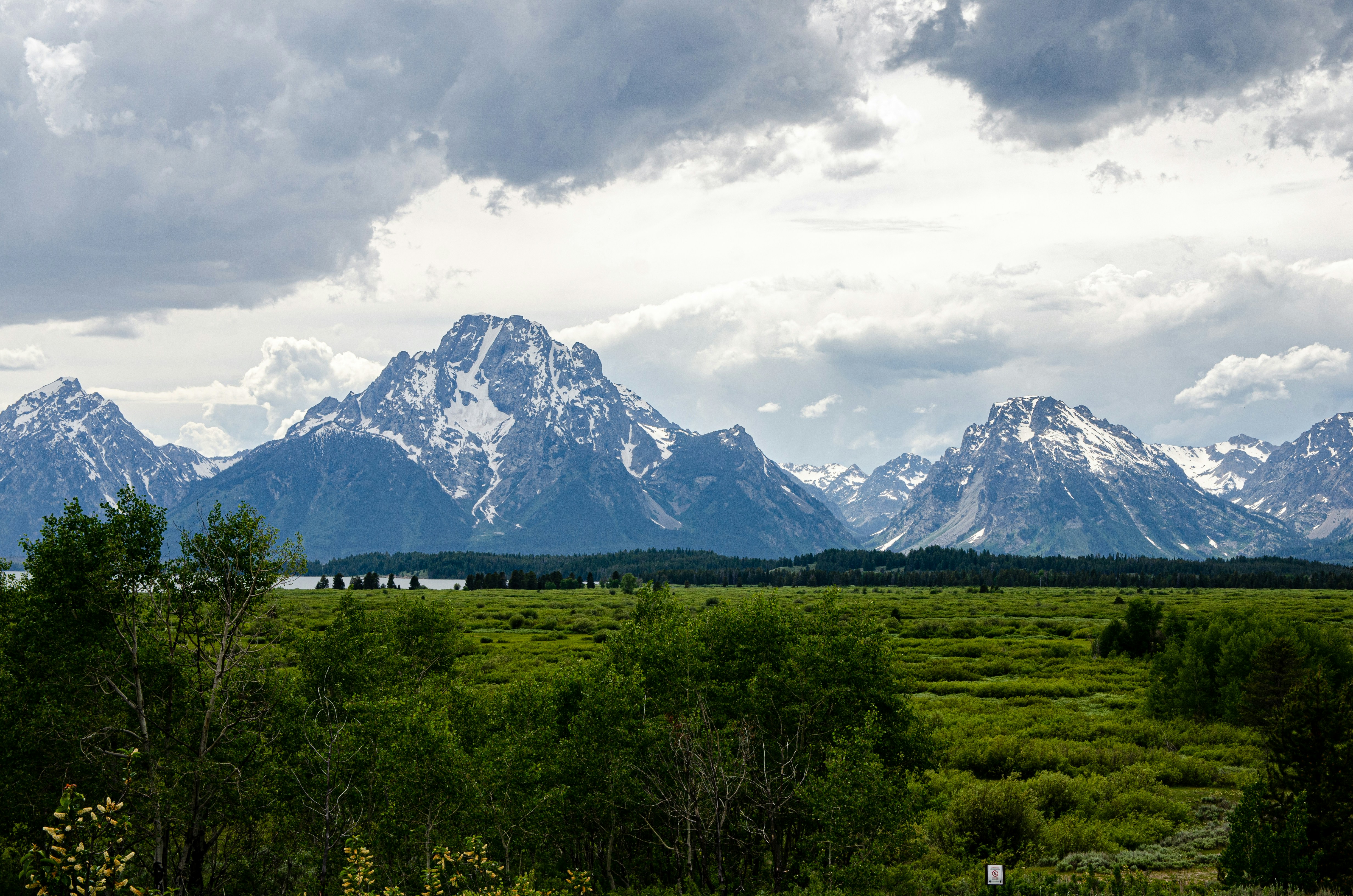 Photo by balderromey