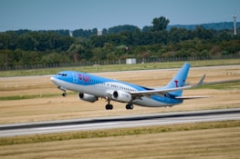 A blue and white commercial airplane is taking off from a runway, surrounded by grassy fields and dense green trees in the background. The design on the plane includes the word 'TUI' prominently displayed near the front.