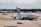 An airport scene features a large passenger aircraft, prominently displaying the Emirates logo, taxiing on the runway. In the background, several other planes from different airlines can be seen parked near the terminal buildings. A ramp worker is directing the aircraft, and various airport equipment is present.