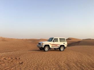 A cozy private 4x4 vehicle parked near a desert oasis under a bright blue sky.