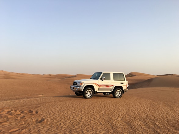 A cozy private 4x4 vehicle parked near a desert oasis under a bright blue sky.