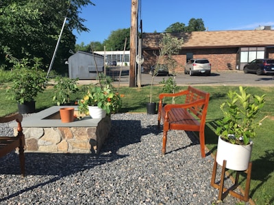 Garden area with flowers and seating
