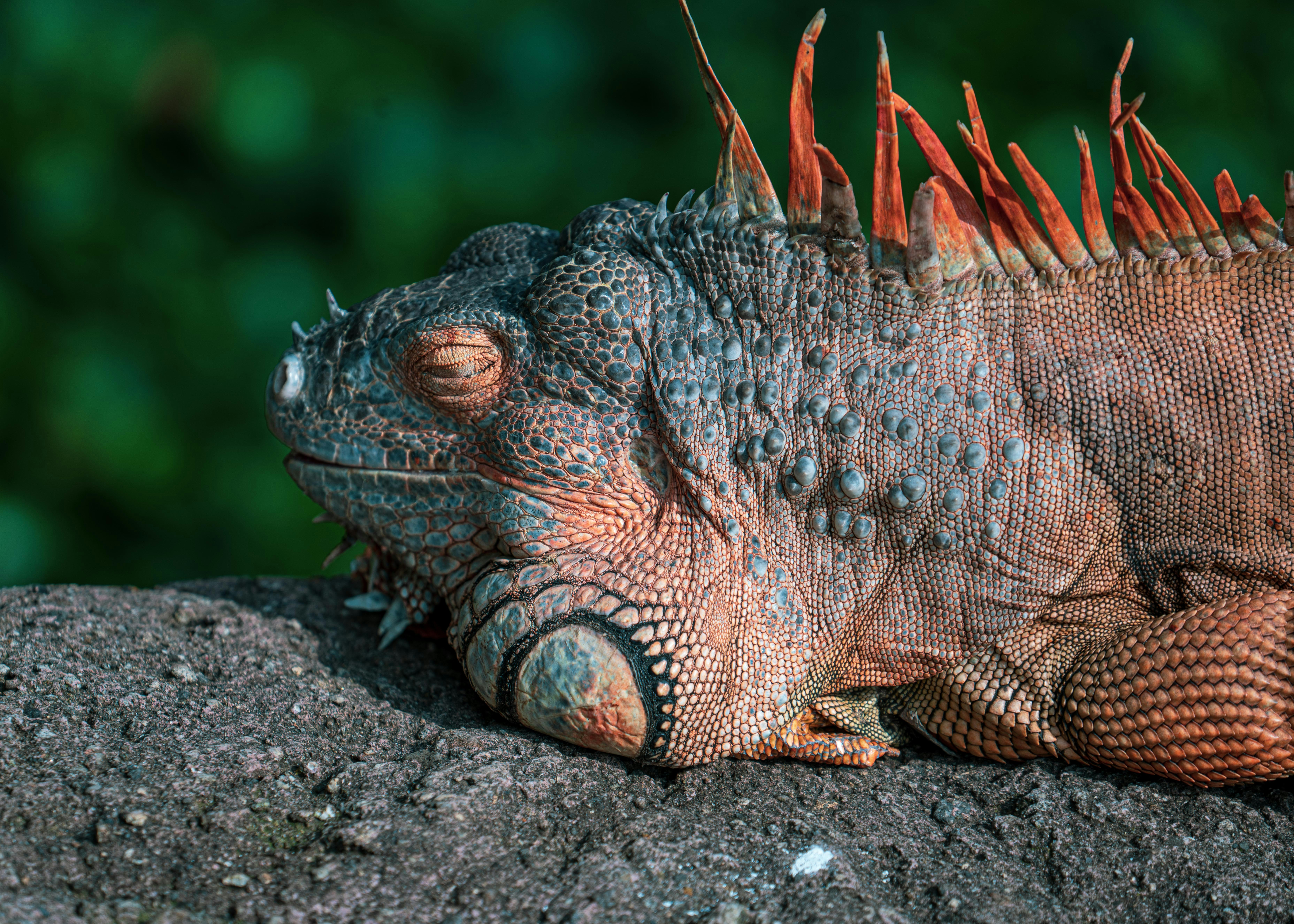 Photo by annastampfli