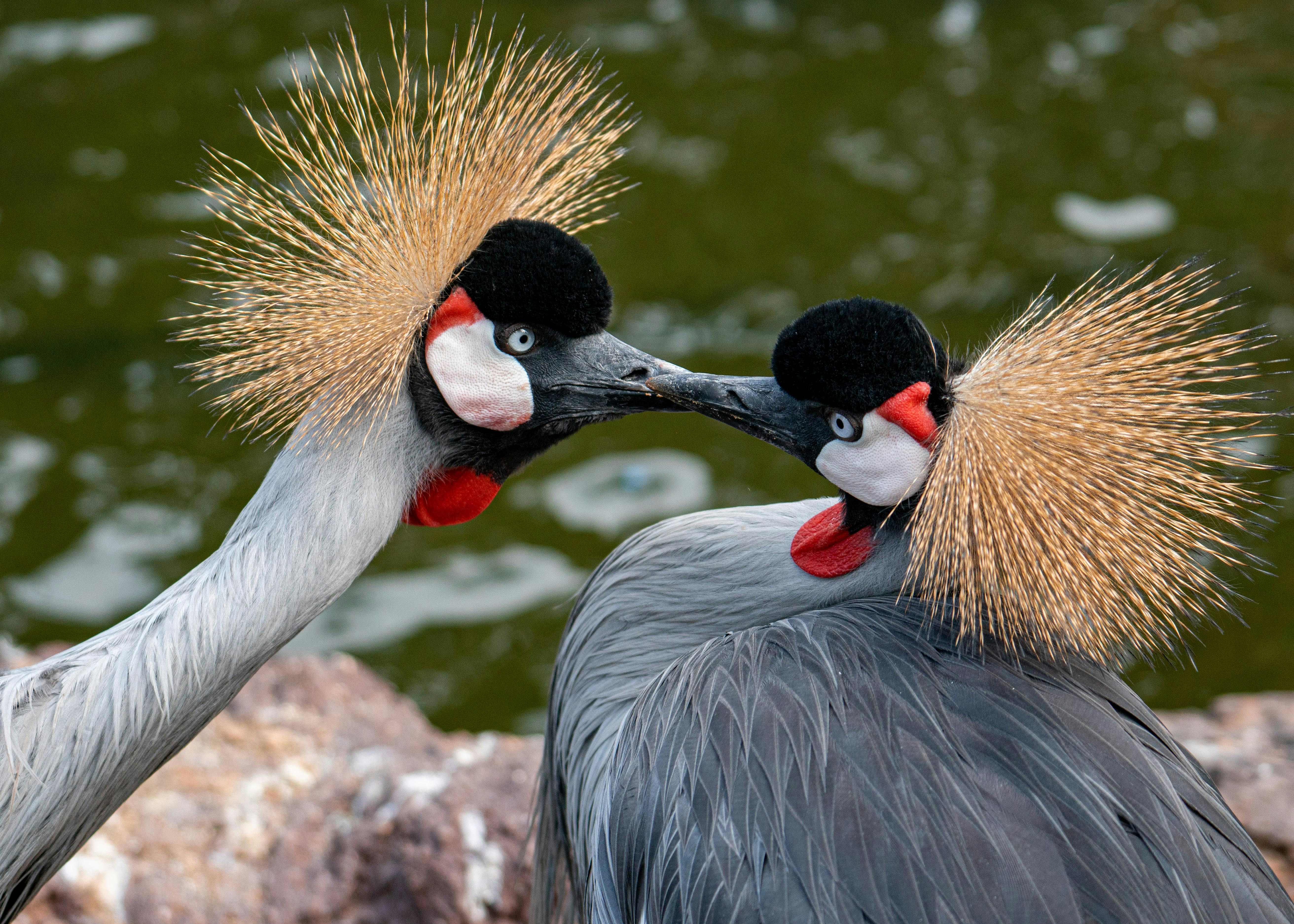 Photo by annastampfli